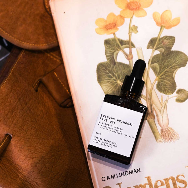 Bottle of evening primrose face oil with dropper on a botanical illustration background