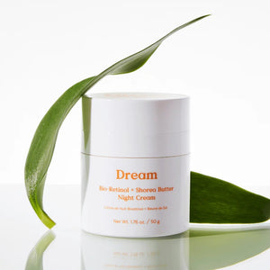 A white jar of Dream Bio-Retinol + Shorea Butter Night Cream on a reflective white surface, styled with two green leaves on either side.