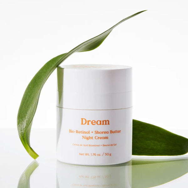 A white jar of Dream Bio-Retinol + Shorea Butter Night Cream on a reflective white surface, styled with two green leaves on either side.