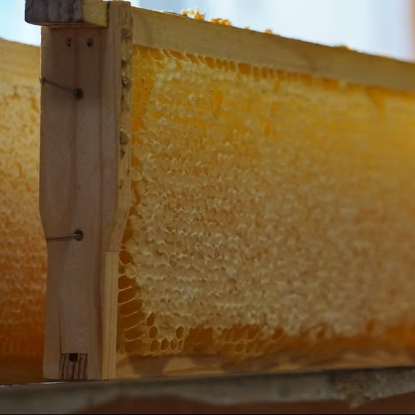 TIDELANDS HOUSE Labrador Leaf Reserve Botanical Creme Cleansing Bar