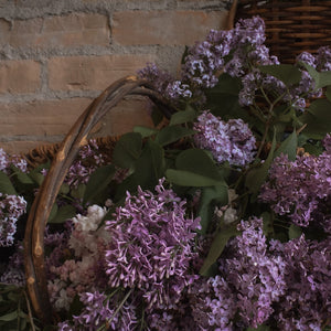 Basket filled with purple lilac flowers against a brick wall. TIDELANDS HOUSE Lilac Nectar Artisanal Copper Distillate