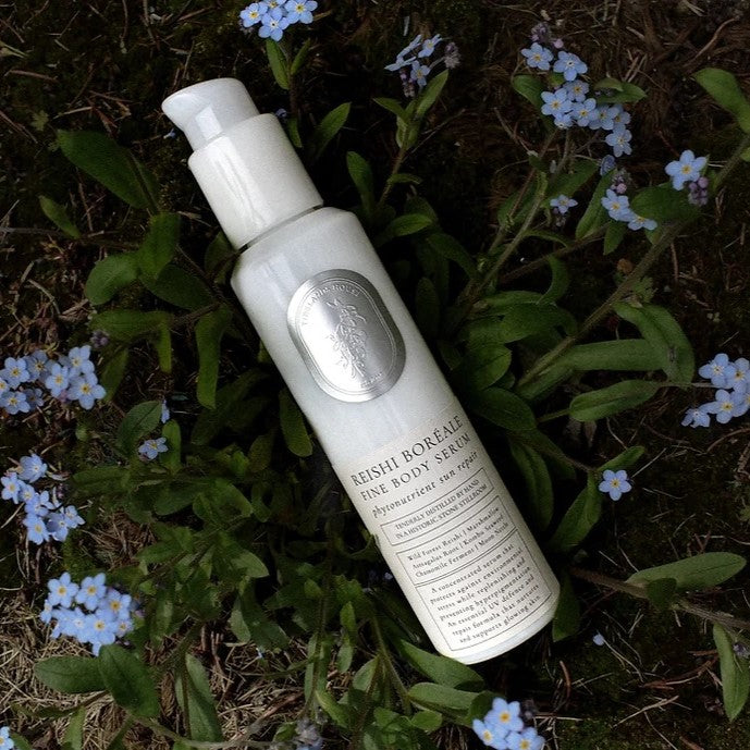 Tidelands House Reishi Boreale Phytonutrient Body Serum in a glass bottle with organic ingredients like Reishi mushroom, marshmallow root, and kombu kelp.