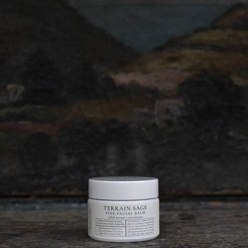 TIDELANDS HOUSE - Terrain Sage Solid Nectar Concentrated Facial Balm in its elegant packaging, highlighting the nourishing plant-based ingredients like Wild Chaga Mushroom, Gotu Kola, and Astragalus Root.