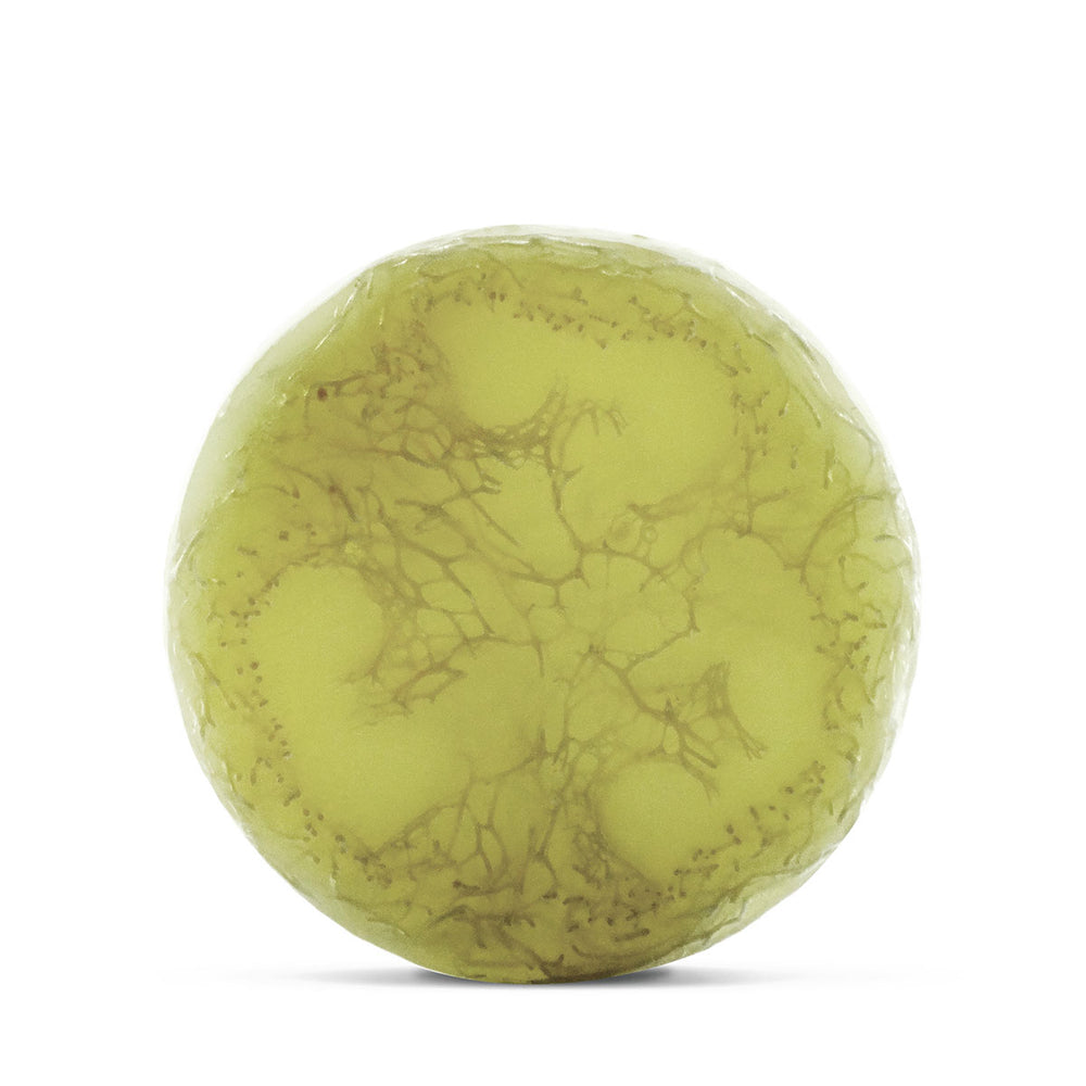 Ayuna SPIRULITE exfoliating cleansing bar with visible luffa core on white background